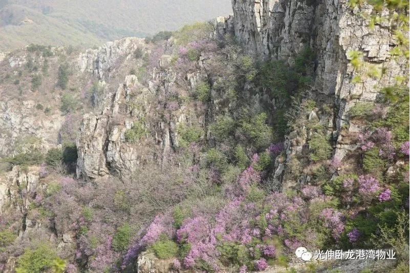 中国·tyc1286太阳成集团(股份)有限公司-官方网站