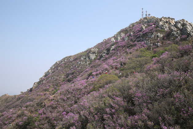 中国·tyc1286太阳成集团(股份)有限公司-官方网站