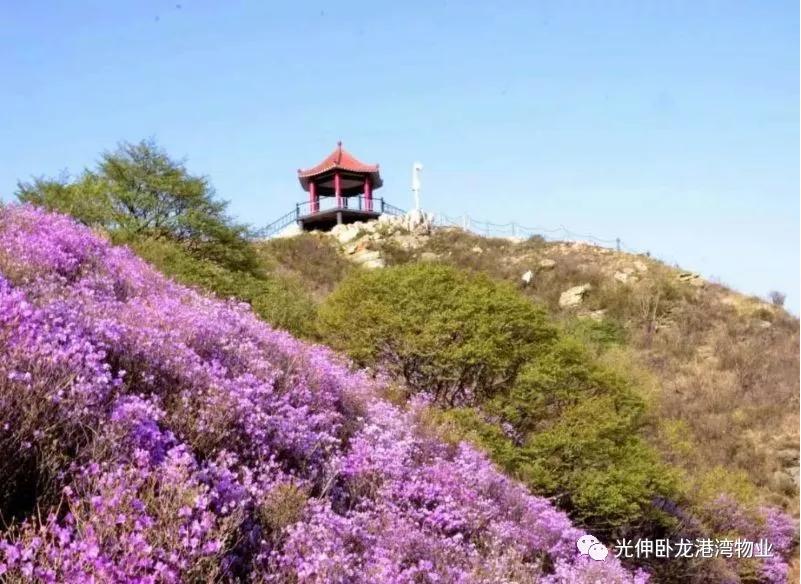 中国·tyc1286太阳成集团(股份)有限公司-官方网站