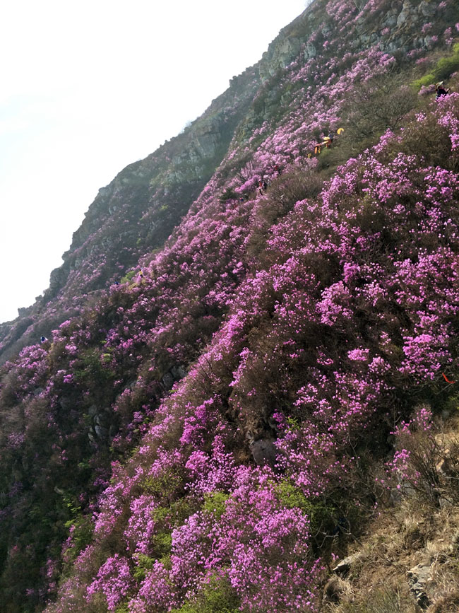中国·tyc1286太阳成集团(股份)有限公司-官方网站